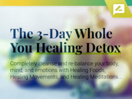 Whole You Healing Detox