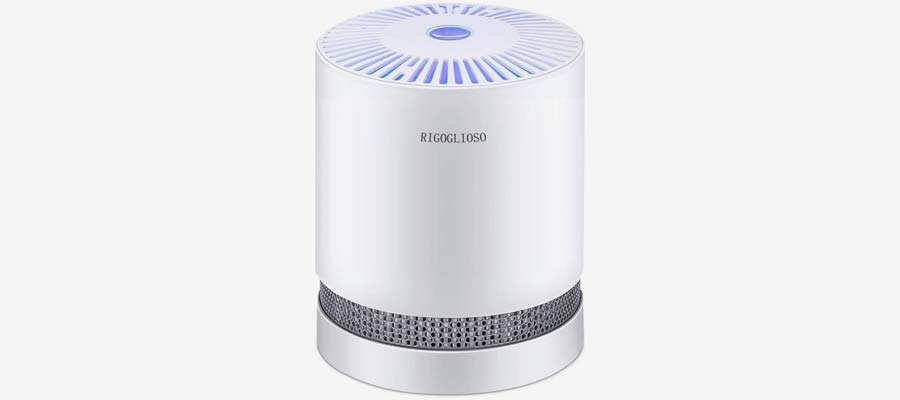 RIGOGLIOSO True HEPA Filter Air Purifier