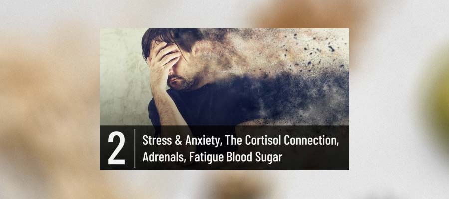 Stress & Anxiety – The Cortisol Connection – Adrenals/Fatigue/Blood Sugar