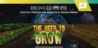 The-Need-to-grow