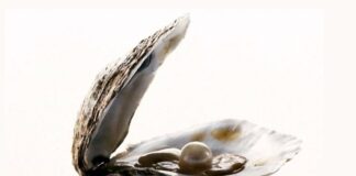 Calcarea Carbonica – Latest Research Included