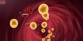 How can I lower my cholesterol levels?